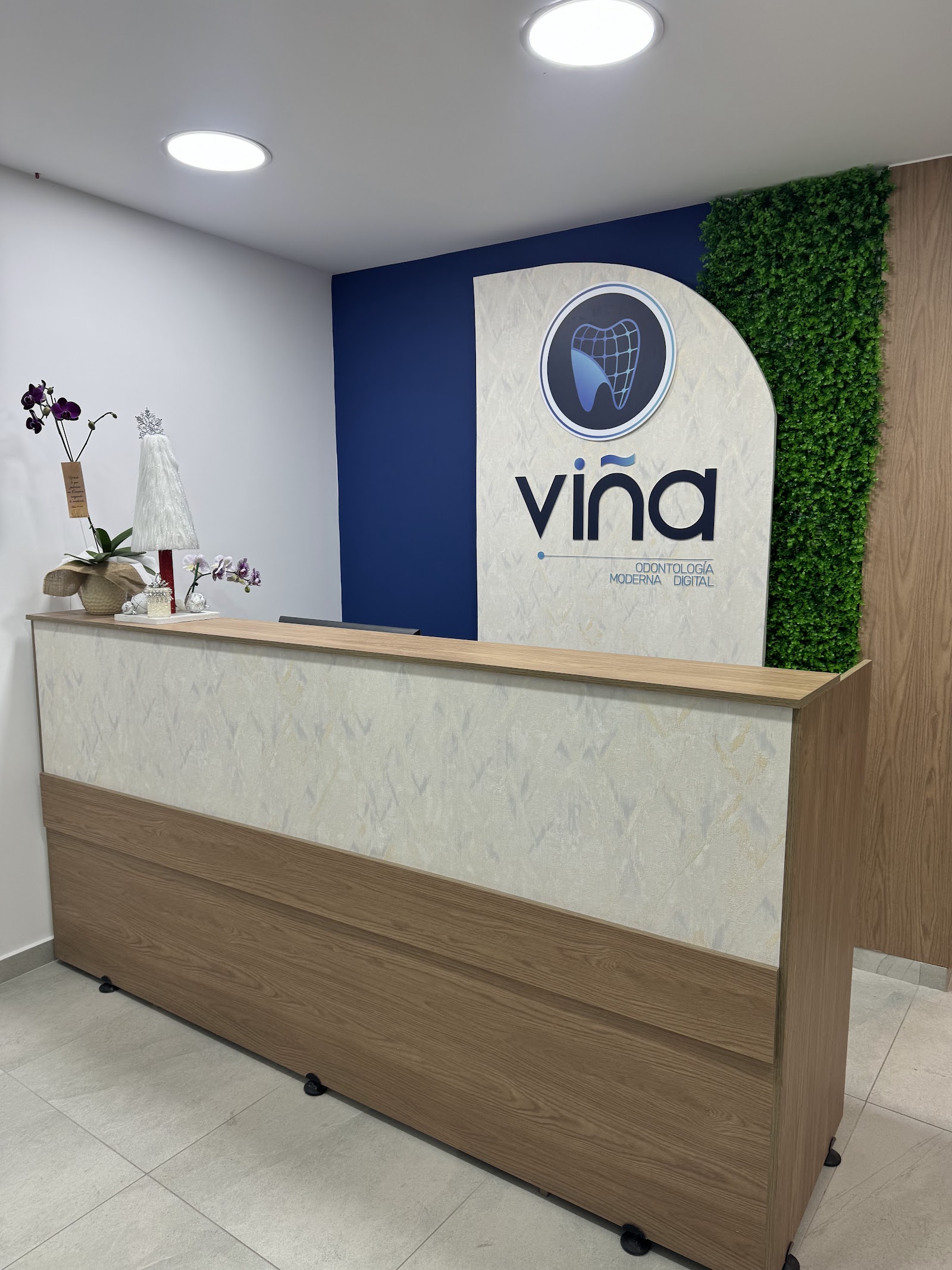 Viña odontología moderna digital
